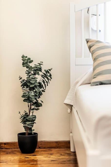 Diana'S Centrally Located Apt@ Old Town Of Corfu Corfu  Ngoại thất bức ảnh